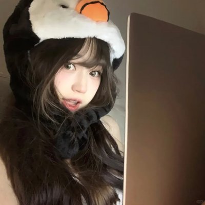 富贵吉娃娃